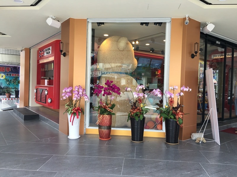 teddy2 | 踏步趣旅行 teddy2