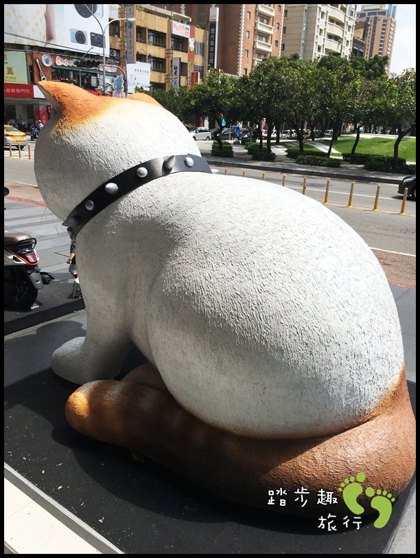 勤美貓2