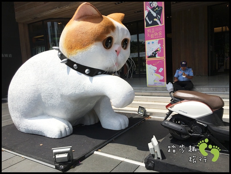 勤美貓6